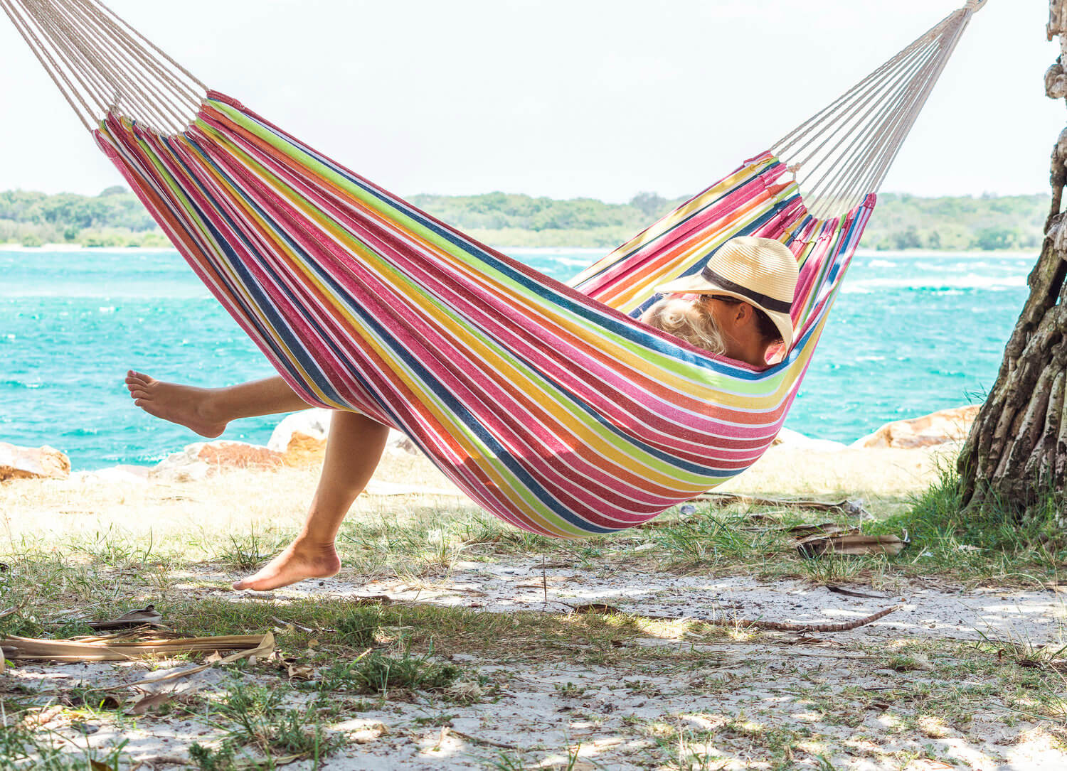 Sunlight to shadows A beginners guide to natural light photography